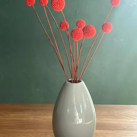 Schleusenkammer شقة